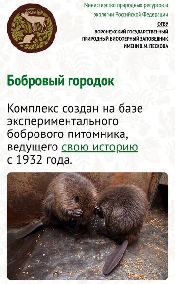 https://upforme.ru/uploads/0019/d2/d8/249/t980820.jpg