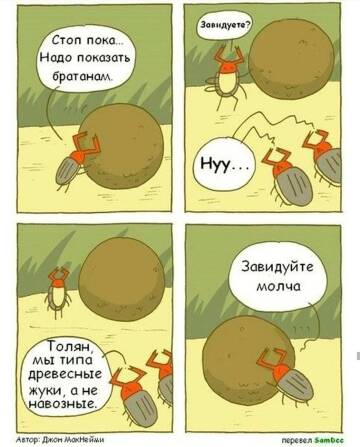https://upforme.ru/uploads/0019/d2/d8/253/t946156.jpg