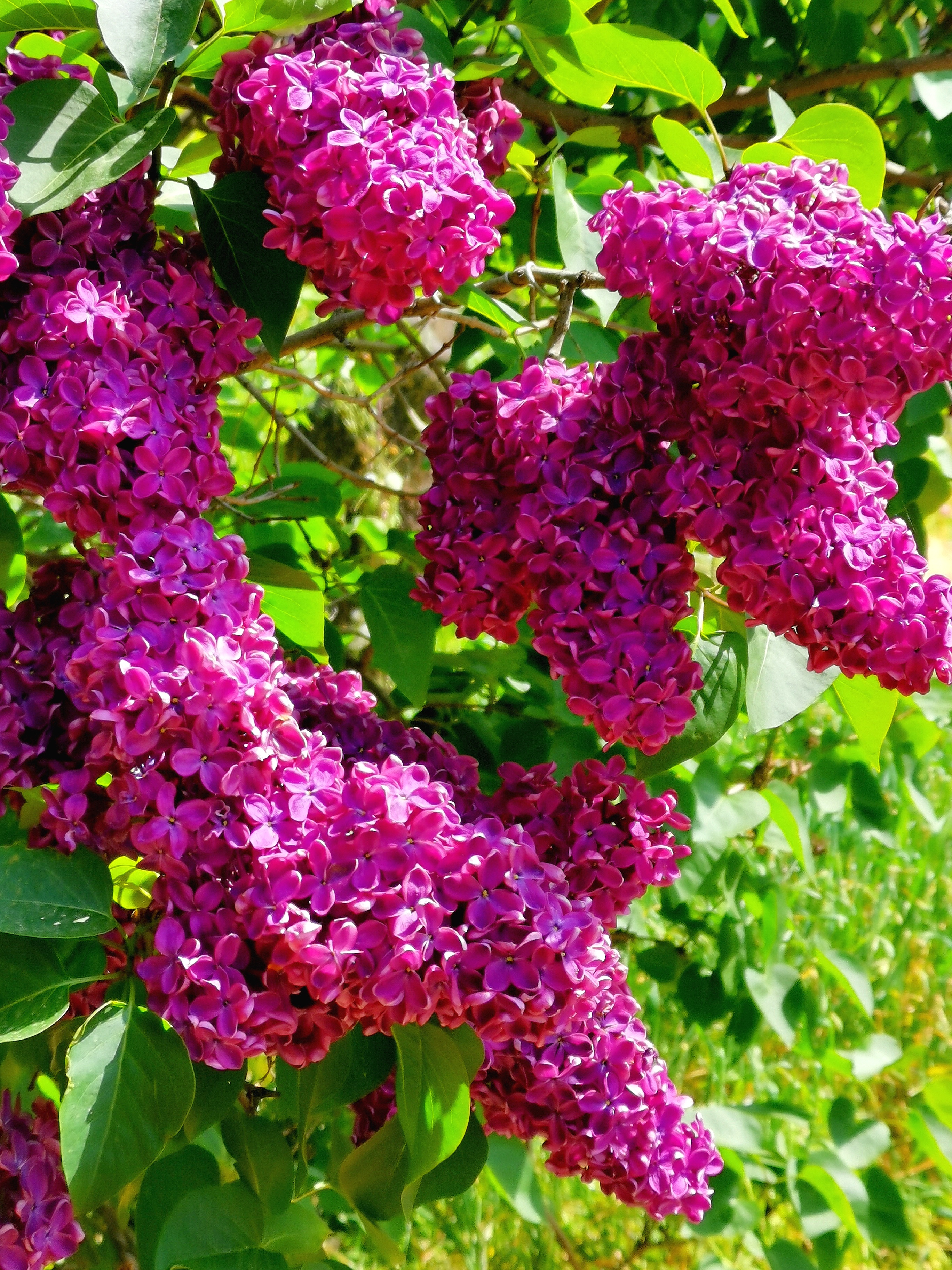 https://upforme.ru/uploads/0019/d2/d8/254/331770.jpg