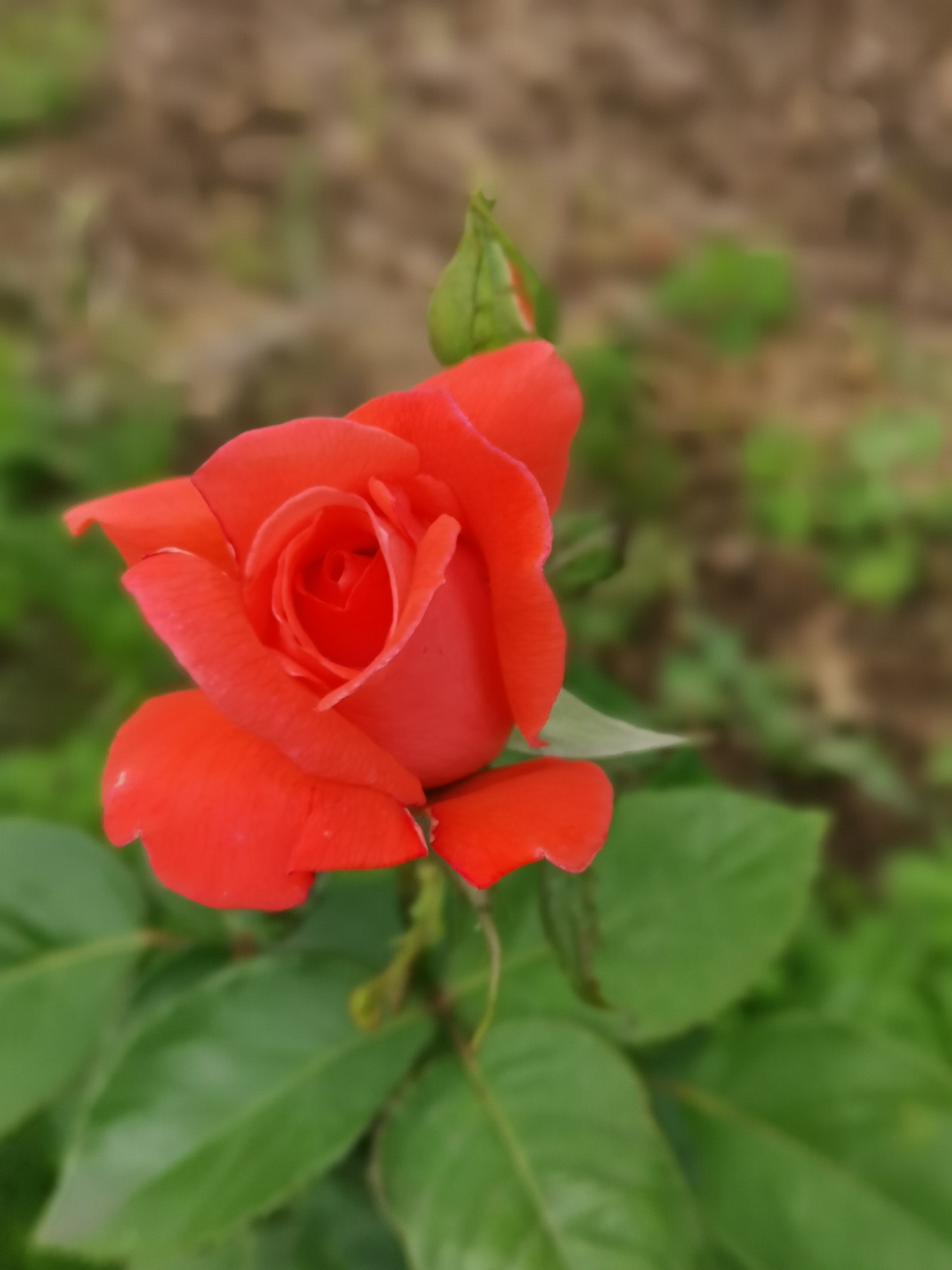 https://upforme.ru/uploads/0019/d2/d8/254/409058.jpg