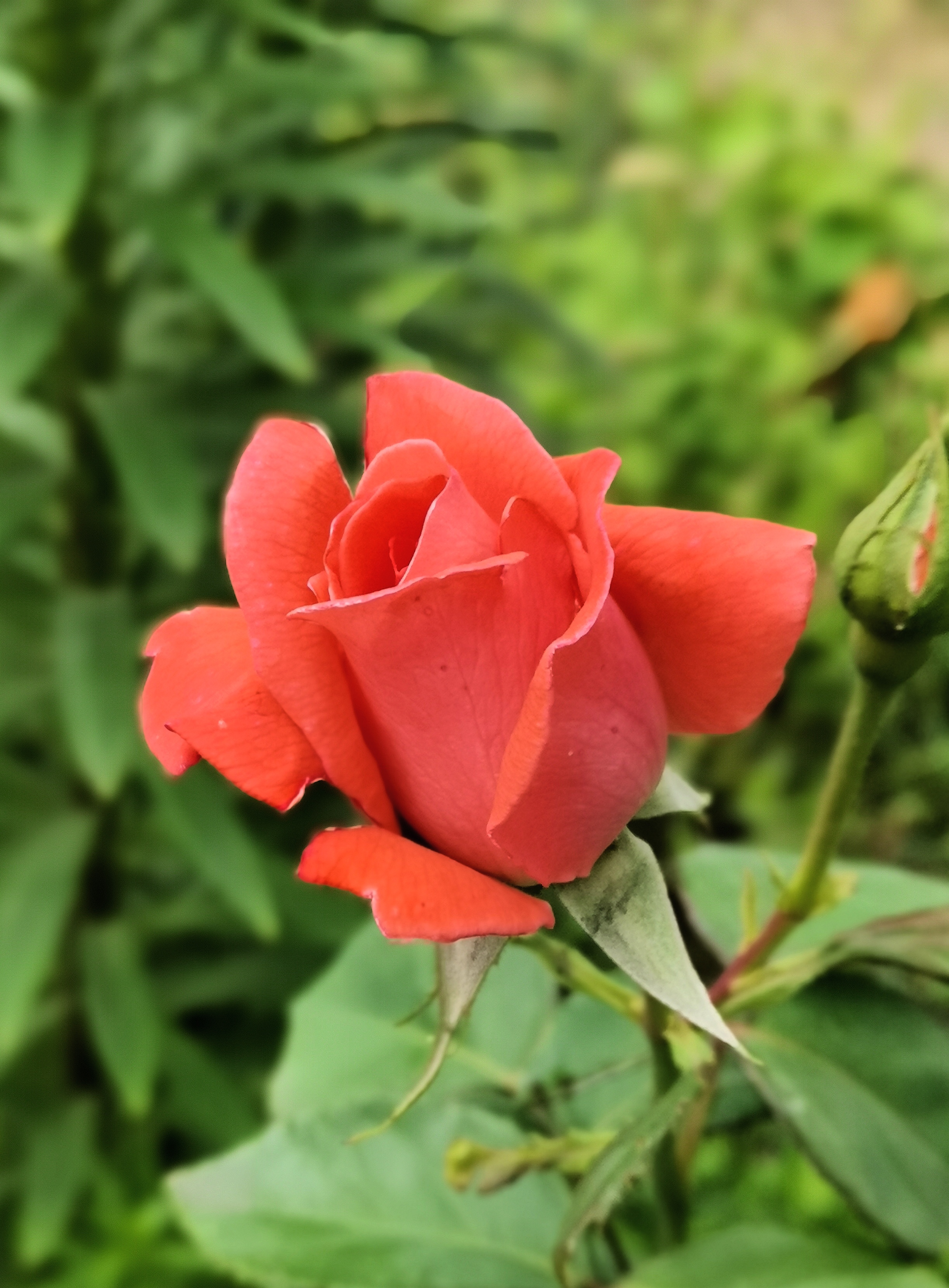 https://upforme.ru/uploads/0019/d2/d8/254/450029.jpg