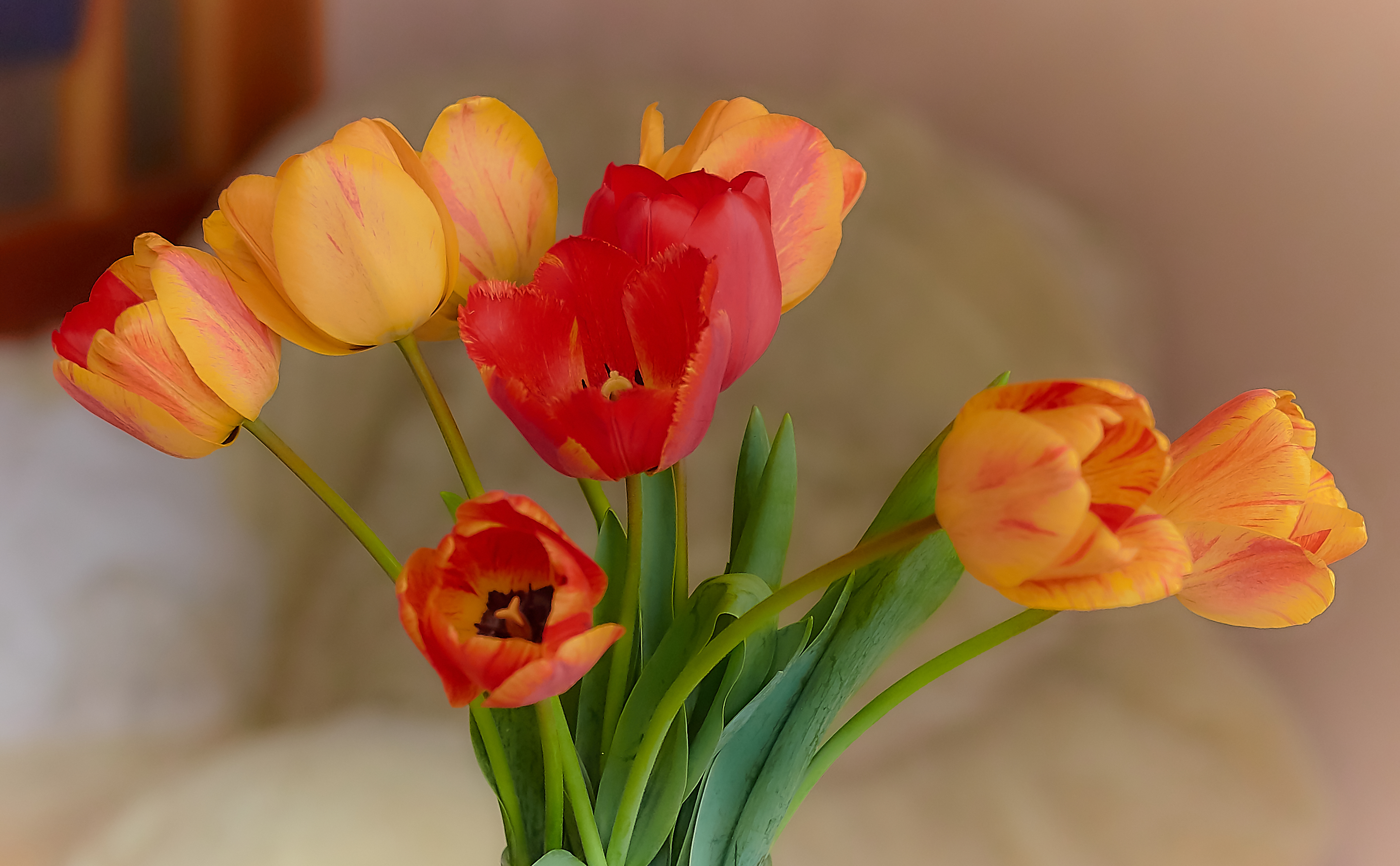 https://upforme.ru/uploads/0019/d2/d8/254/888892.jpg