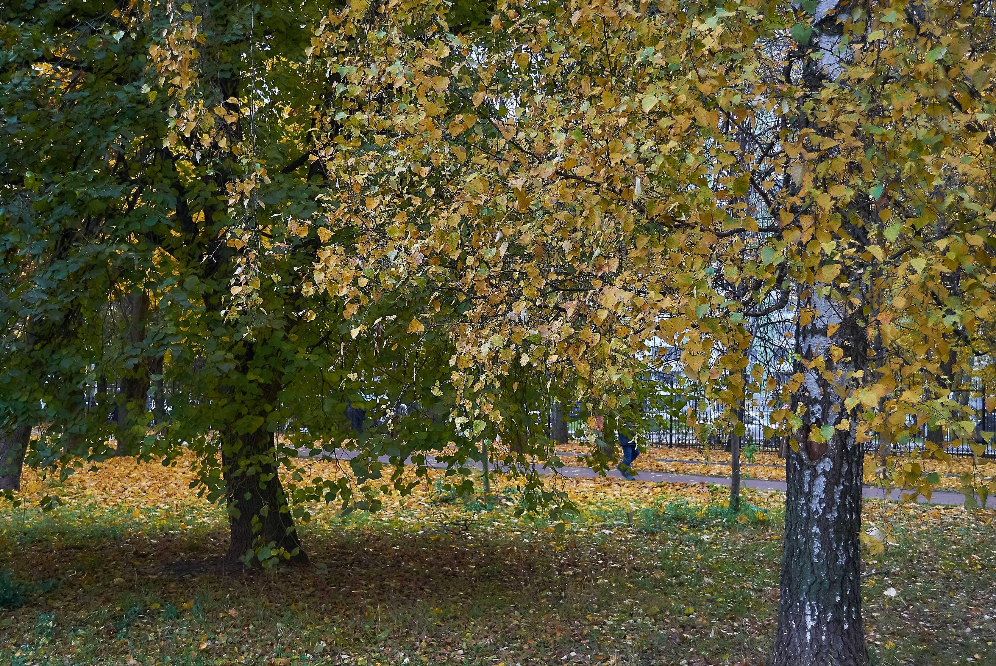 https://upforme.ru/uploads/0019/d2/d8/254/91591.jpg
