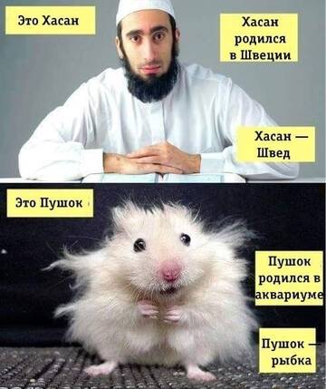 https://upforme.ru/uploads/0019/d2/d8/255/t422800.jpg
