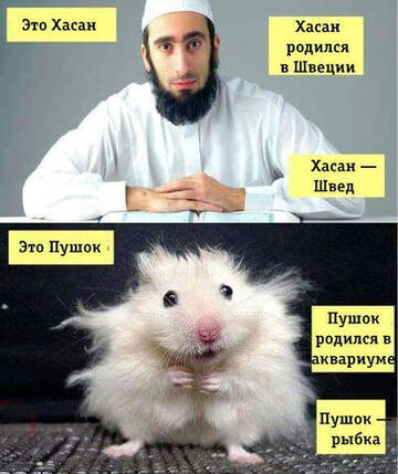https://upforme.ru/uploads/0019/d2/d8/255/t491495.jpg