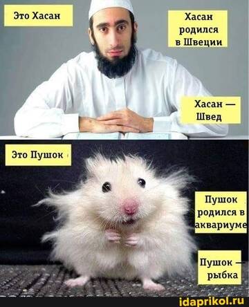 https://upforme.ru/uploads/0019/d2/d8/255/t650744.jpg