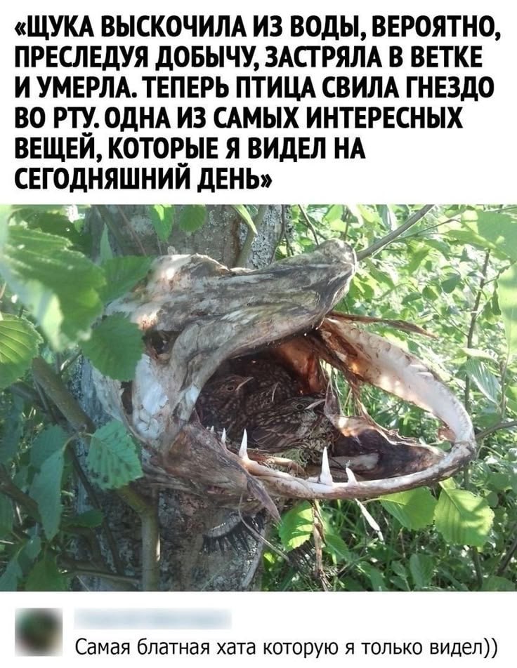 https://upforme.ru/uploads/0019/d2/d8/256/133950.jpg