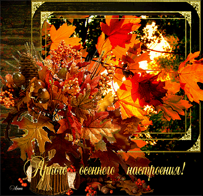 https://upforme.ru/uploads/0019/d2/d8/256/188549.gif