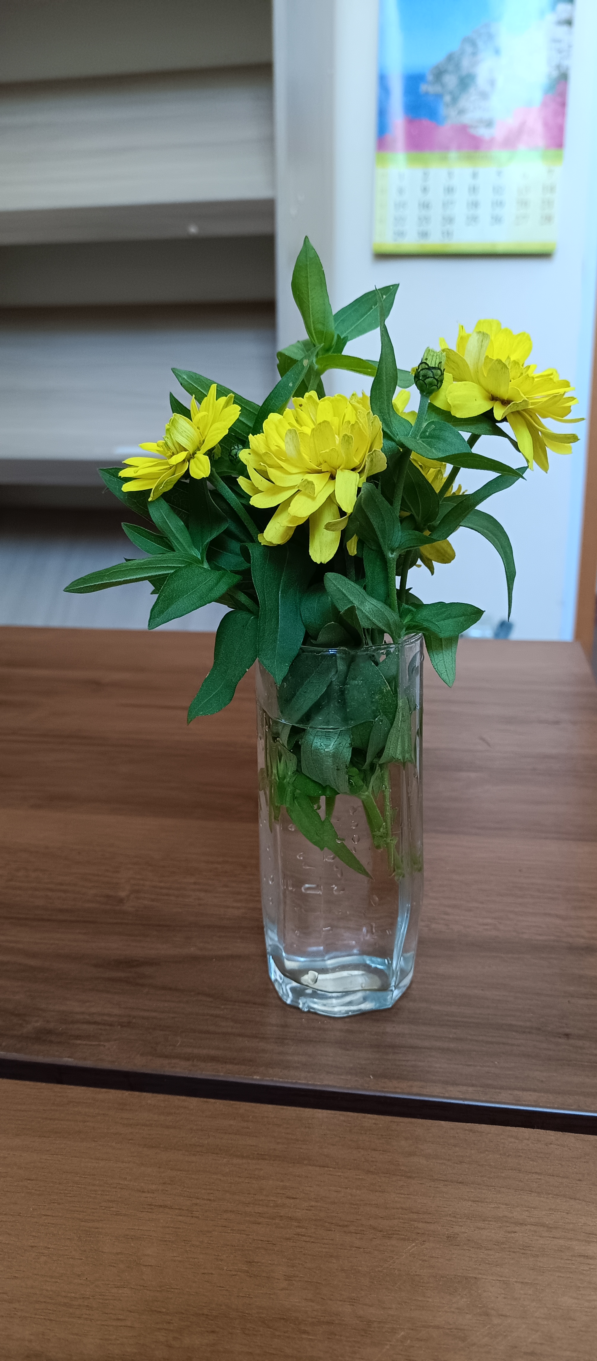 https://upforme.ru/uploads/0019/d2/d8/256/191487.jpg