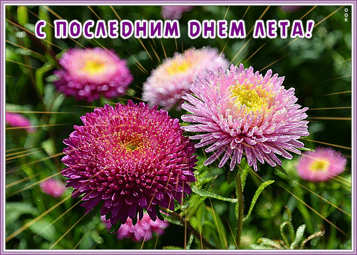 https://upforme.ru/uploads/0019/d2/d8/256/27894.gif