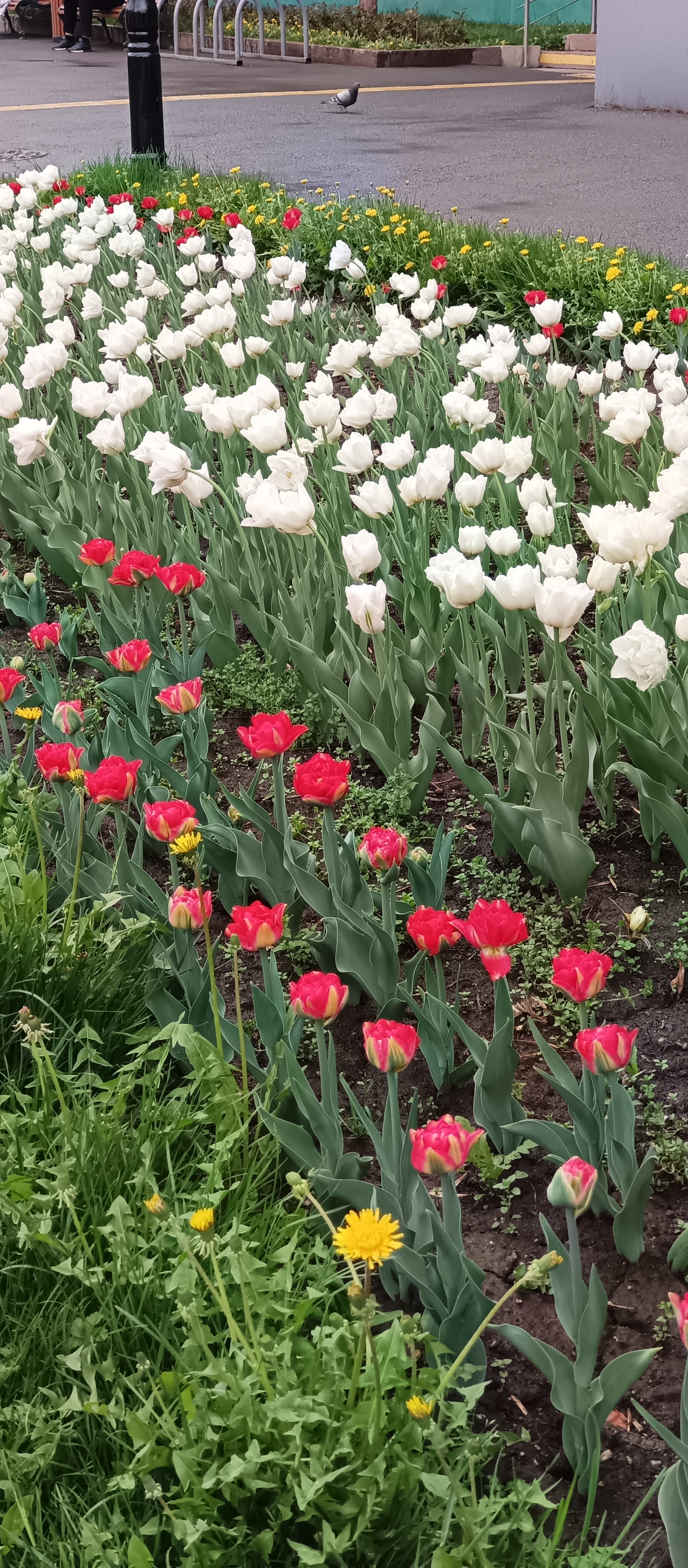 https://upforme.ru/uploads/0019/d2/d8/256/348833.jpg