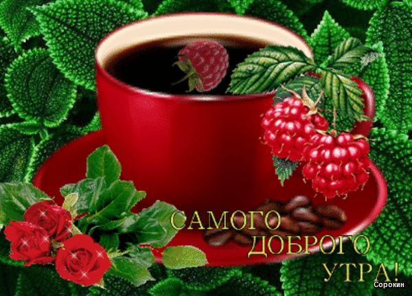 https://upforme.ru/uploads/0019/d2/d8/256/413362.gif