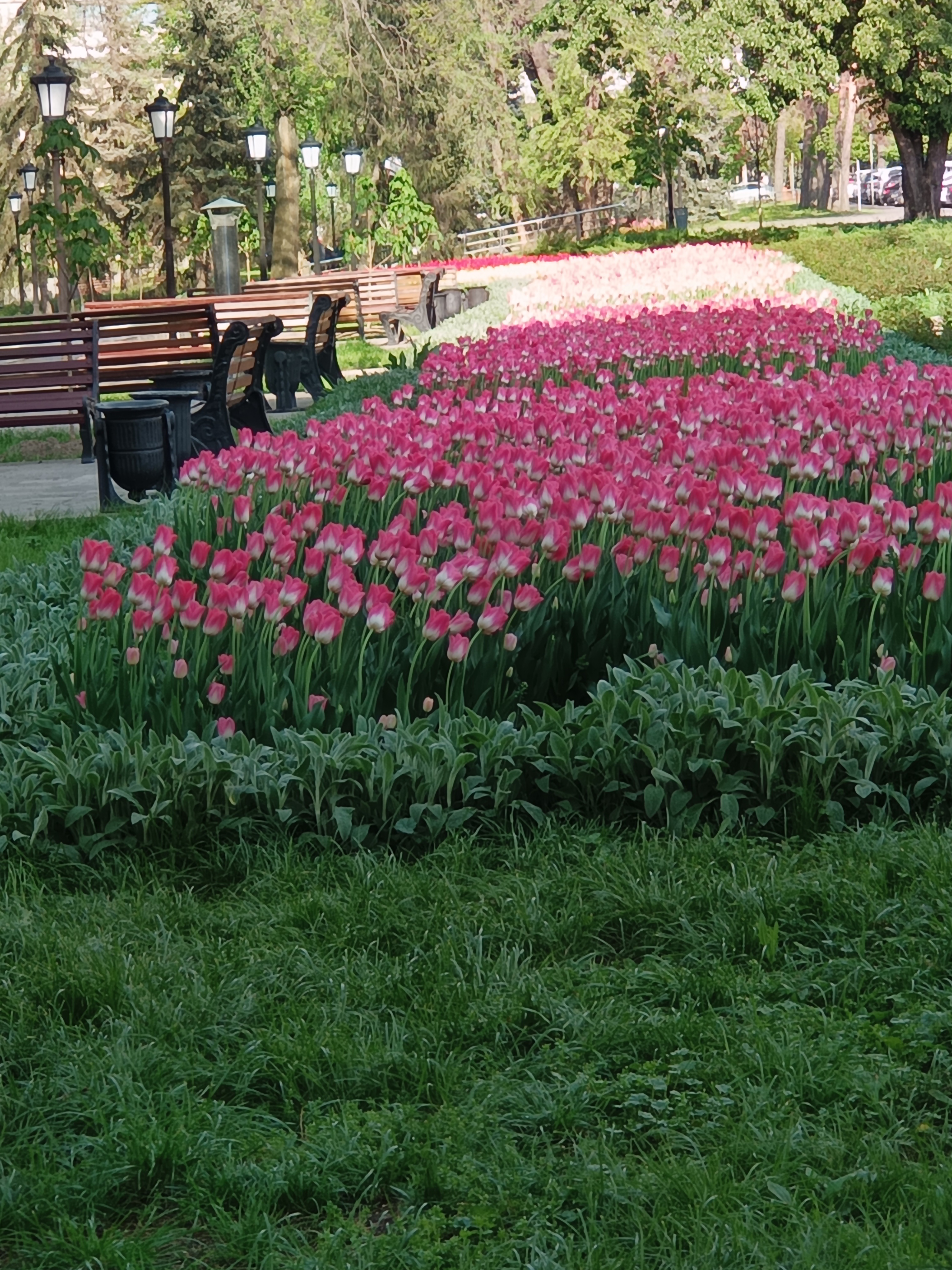 https://upforme.ru/uploads/0019/d2/d8/256/448184.jpg