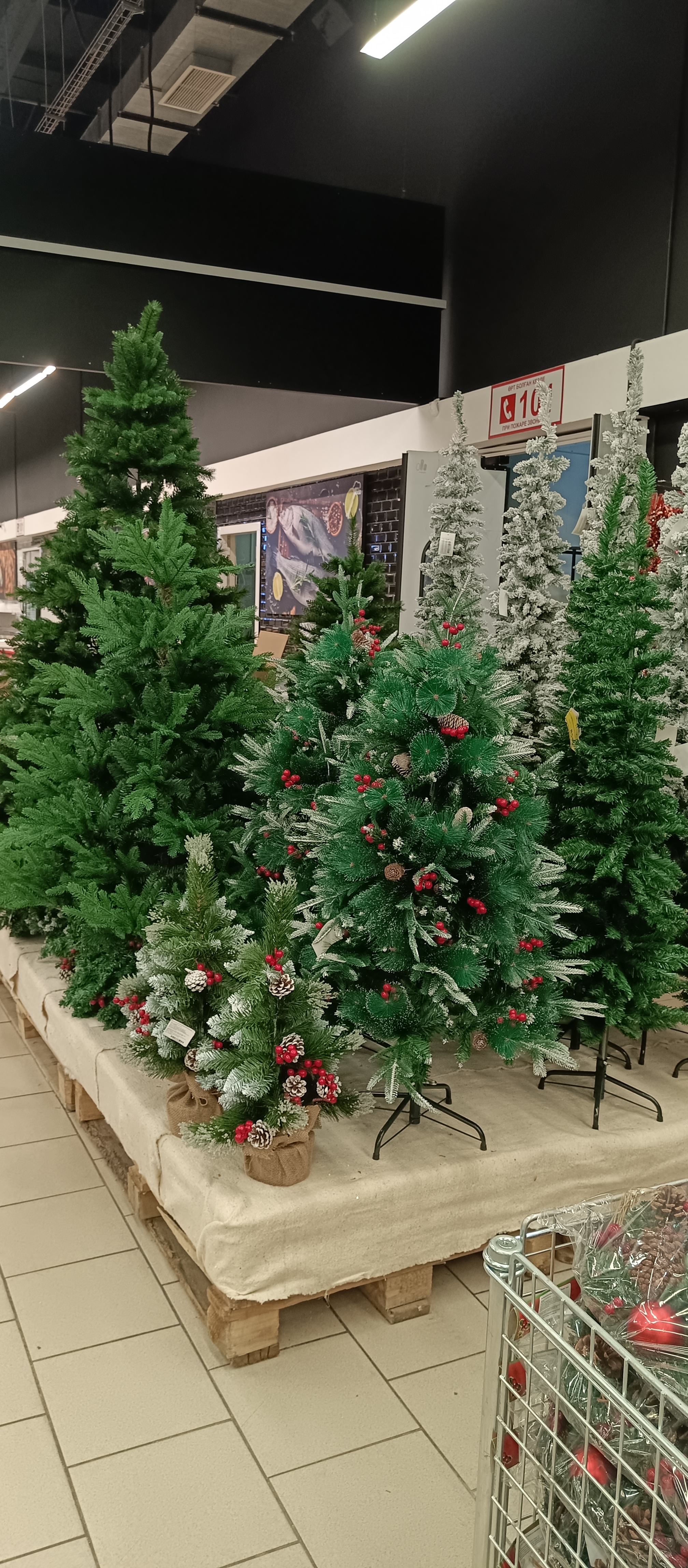 https://upforme.ru/uploads/0019/d2/d8/256/581570.jpg