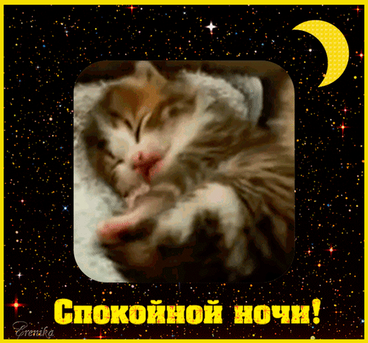 https://upforme.ru/uploads/0019/d2/d8/256/617993.gif