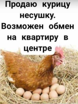 https://upforme.ru/uploads/0019/d2/d8/26/t18894.jpg