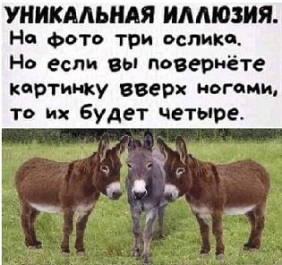 https://upforme.ru/uploads/0019/d2/d8/26/t473660.jpg
