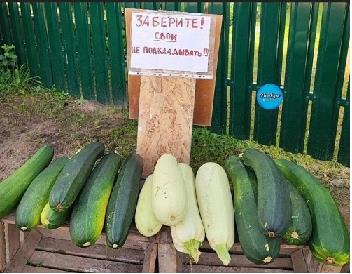 https://upforme.ru/uploads/0019/d2/d8/26/t623723.jpg