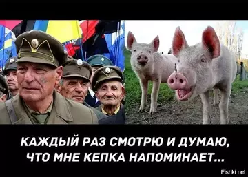https://upforme.ru/uploads/0019/d2/d8/27/t224045.webp