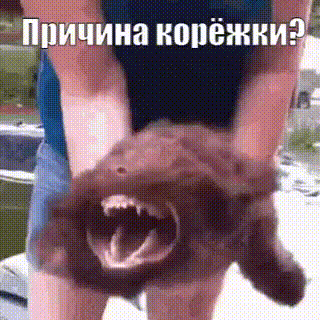 https://upforme.ru/uploads/0019/d2/d8/27/t631680.gif