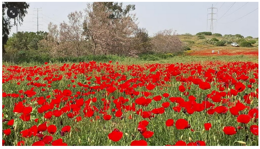 https://upforme.ru/uploads/0019/d2/d8/44/112293.png