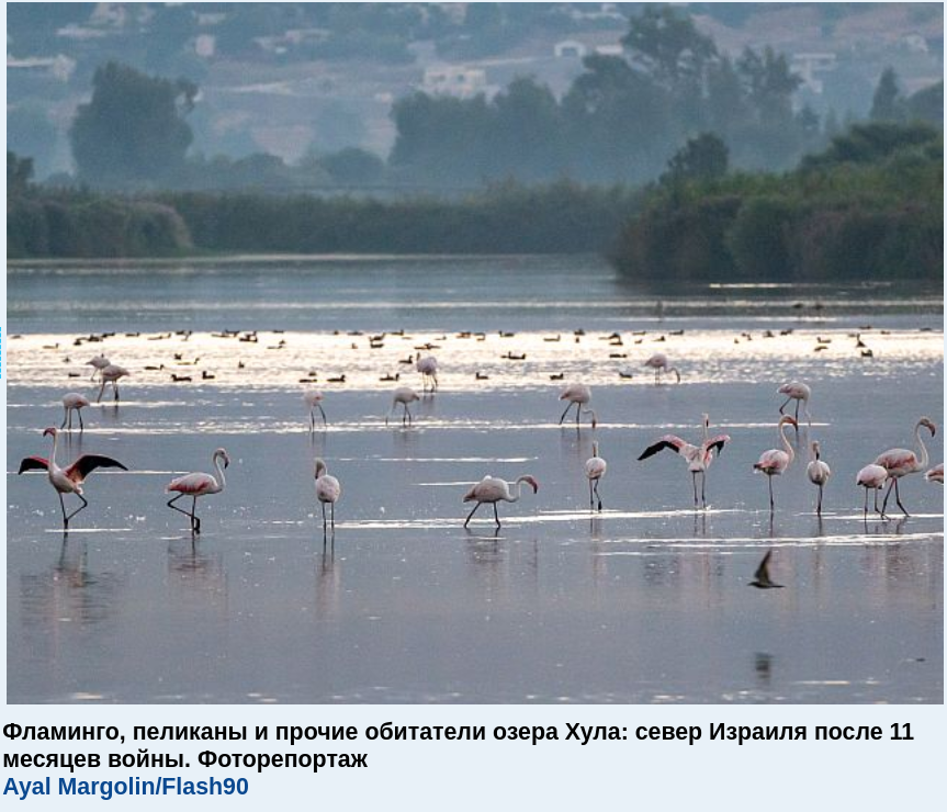 https://upforme.ru/uploads/0019/d2/d8/44/878383.png