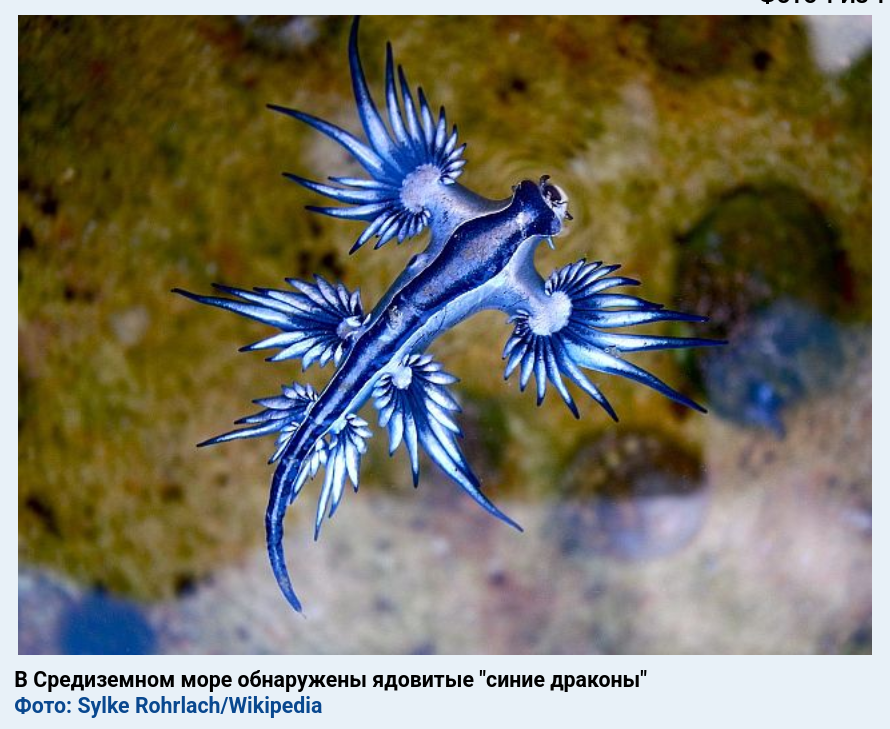 https://upforme.ru/uploads/0019/d2/d8/44/940959.png