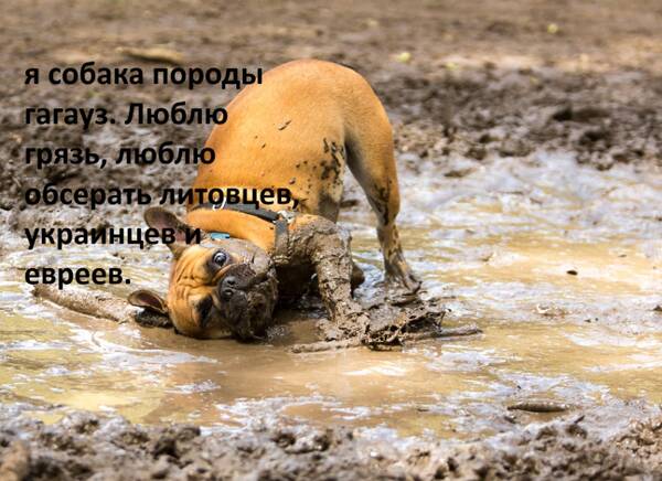 https://upforme.ru/uploads/0019/d2/d8/57/t153735.jpg