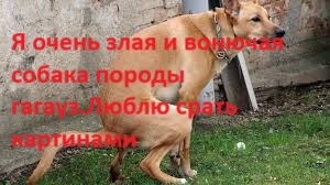 https://upforme.ru/uploads/0019/d2/d8/57/t249346.jpg