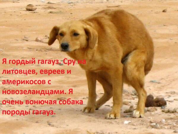 https://upforme.ru/uploads/0019/d2/d8/57/t298136.jpg