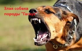 https://upforme.ru/uploads/0019/d2/d8/57/t348505.jpg