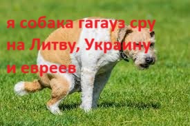https://upforme.ru/uploads/0019/d2/d8/57/t466486.jpg