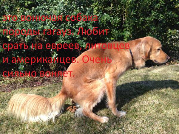 https://upforme.ru/uploads/0019/d2/d8/57/t665229.jpg