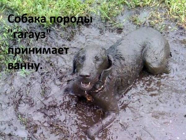 https://upforme.ru/uploads/0019/d2/d8/57/t919461.jpg