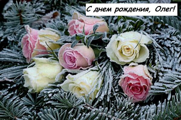 https://upforme.ru/uploads/0019/d2/d8/59/t297148.jpg