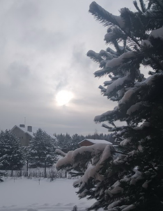 https://upforme.ru/uploads/0019/d2/d8/6/12993.jpg