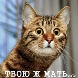 https://upforme.ru/uploads/0019/d2/d8/6/526930.png