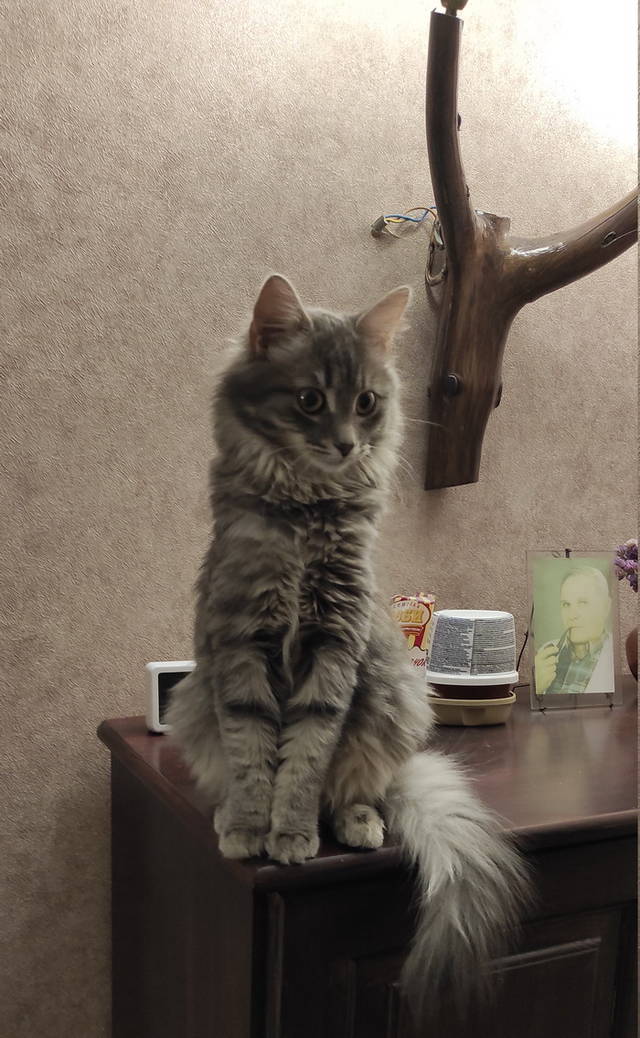 https://upforme.ru/uploads/0019/d2/d8/6/800053.jpg