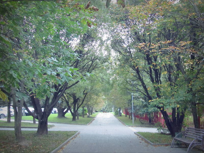 https://upforme.ru/uploads/0019/d2/d8/6/856596.jpg