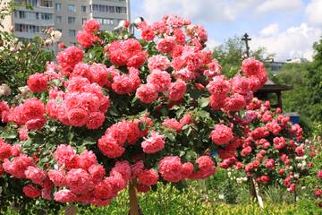 https://upforme.ru/uploads/0019/d2/d8/77/t278548.jpg