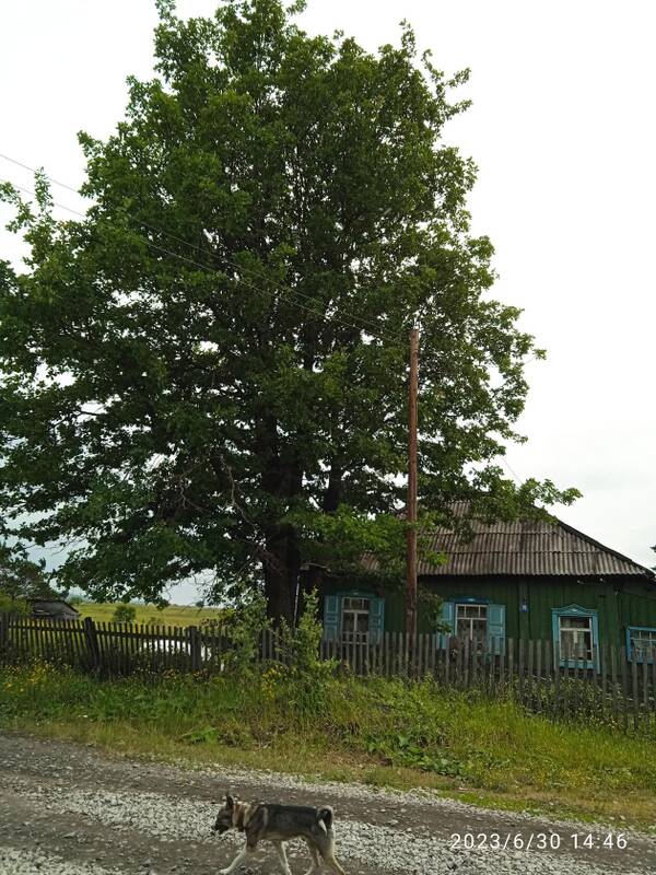 https://upforme.ru/uploads/0019/d2/d8/8/t814841.jpg