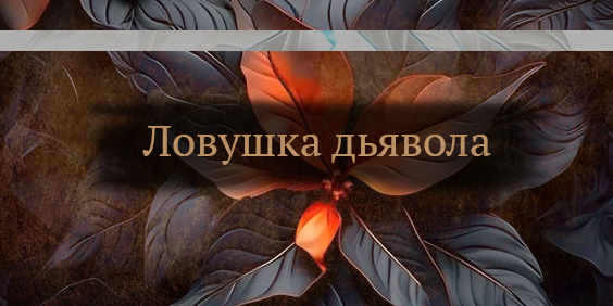 https://upforme.ru/uploads/0019/d5/79/84/655945.png