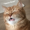 https://upforme.ru/uploads/0019/e7/e3/2/993929.png