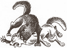 https://upforme.ru/uploads/0019/e9/2f/2/107014.png