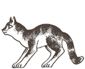 https://upforme.ru/uploads/0019/e9/2f/2/151642.png