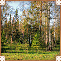 https://upforme.ru/uploads/0019/e9/2f/2/220441.png