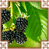 https://upforme.ru/uploads/0019/e9/2f/2/23093.png