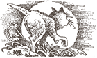 https://upforme.ru/uploads/0019/e9/2f/2/242024.png