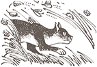 https://upforme.ru/uploads/0019/e9/2f/2/249038.png