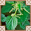 https://upforme.ru/uploads/0019/e9/2f/2/273096.png